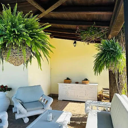 Chanel Garden Relaxation Home Formello Exterior photo
