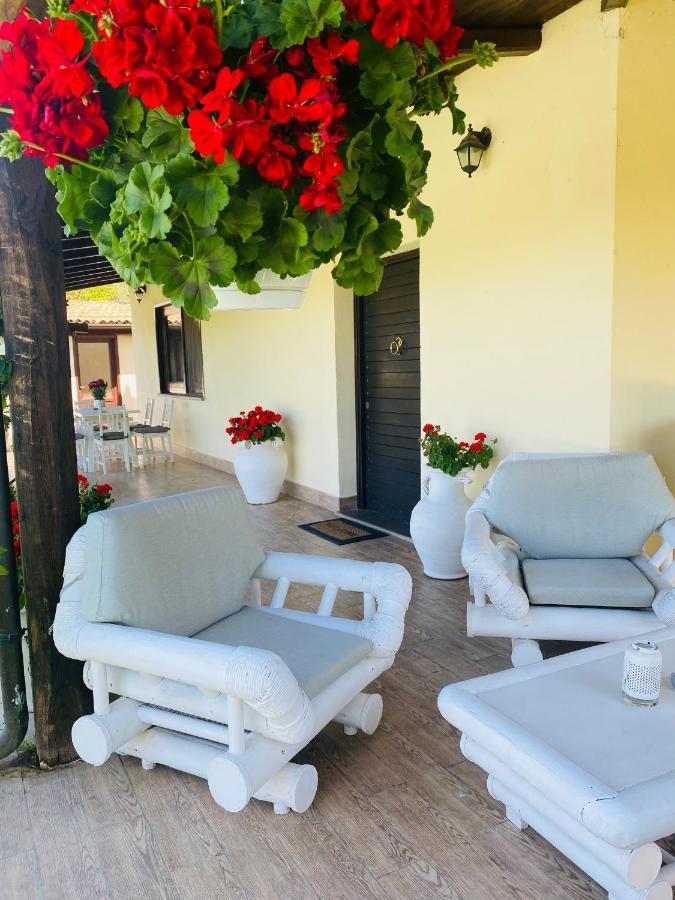 Villa Chanel Garden Relaxation